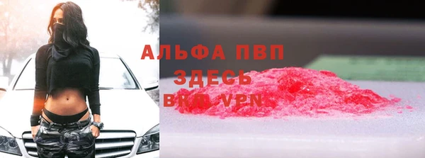 стаф Гусев