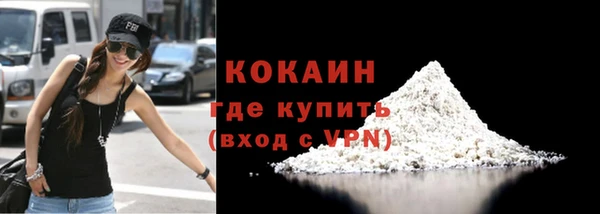 стаф Гусев