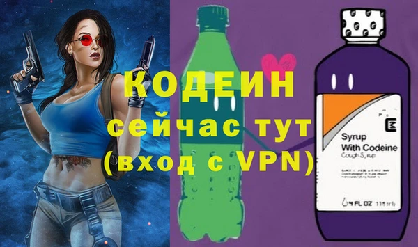 стаф Гусев