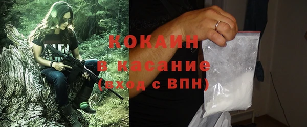 стаф Гусев