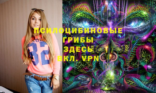стаф Гусев